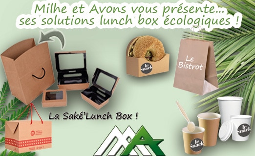 Solutions lunch box écologiques
